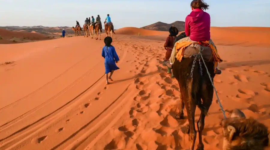 merzouga sahara camel sunset experience morocco Couple riding camels at sunset in Merzouga Sahara Desert during a multi day tour from Marrakech