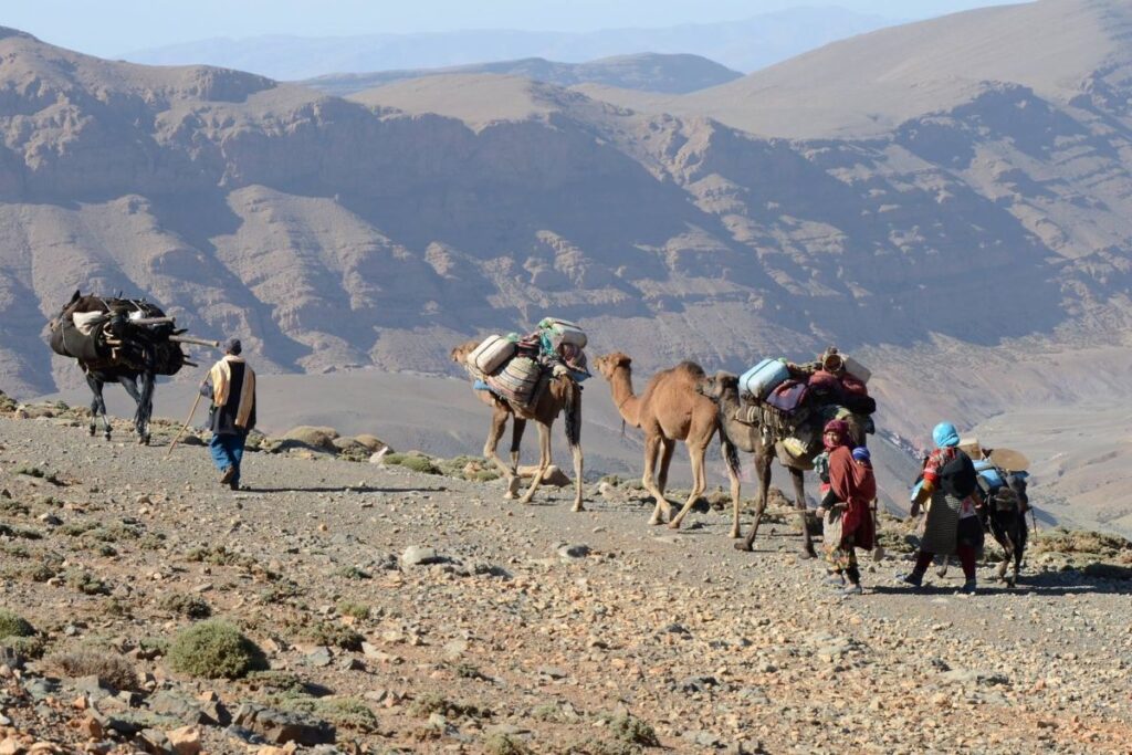 Aït Atta Berber nomad family at summer pasture in the M'Goun Massif, Central High Atlas Morocco